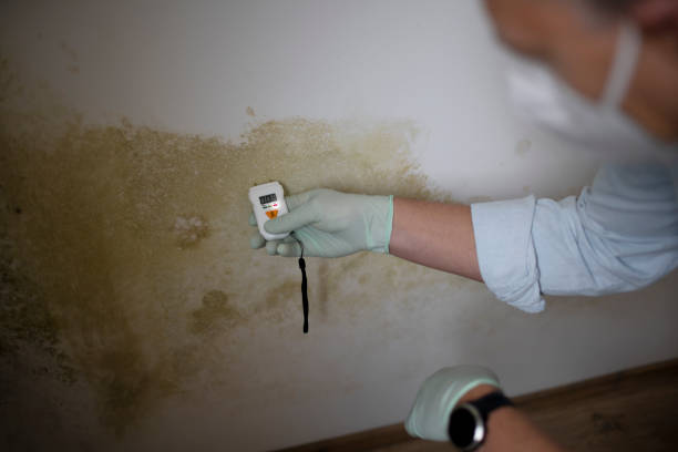 Best HVAC Mold Remediation in Maxton, NC